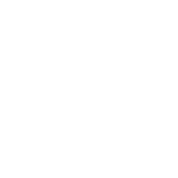 RAM_icons_white-12